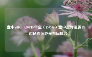 盘中V字！A50ETF华宝（159596）盘中反弹涨近1%，市场震荡亦是布局机会