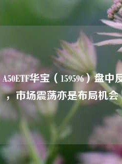 盘中V字！A50ETF华宝（159596）盘中反弹涨近1%，市场震荡亦是布局机会