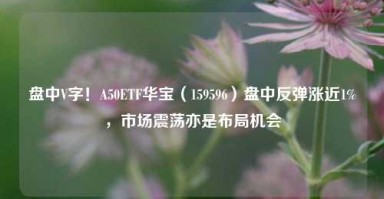 盘中V字！A50ETF华宝（159596）盘中反弹涨近1%，市场震荡亦是布局机会