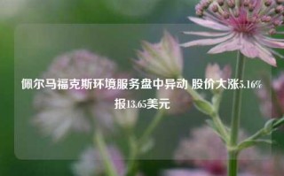 佩尔马福克斯环境服务盘中异动 股价大涨5.16%报13.65美元