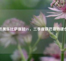 达美乐比萨涨超5%，三季度获巴菲特建仓