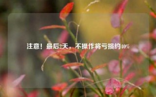 注意！最后2天，不操作将亏损约40%