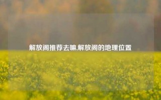 解放阁推荐去嘛,解放阁的地理位置