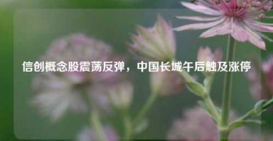 信创概念股震荡反弹，中国长城午后触及涨停