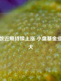 微盘股指数近期持续上涨 小盘基金业绩分化加大