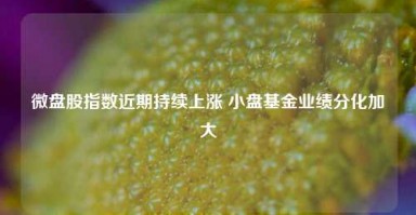 微盘股指数近期持续上涨 小盘基金业绩分化加大