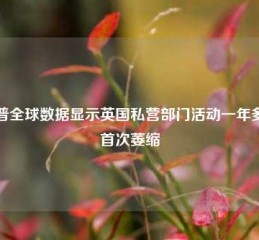 标普全球数据显示英国私营部门活动一年多来首次萎缩