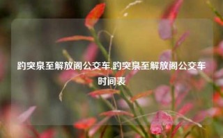 趵突泉至解放阁公交车,趵突泉至解放阁公交车时间表