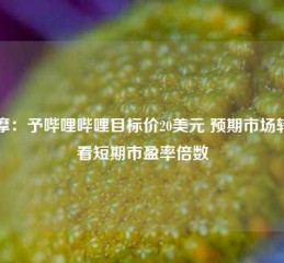 大摩：予哔哩哔哩目标价20美元 预期市场转向看短期市盈率倍数