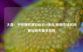 大摩：予哔哩哔哩目标价20美元 预期市场转向看短期市盈率倍数