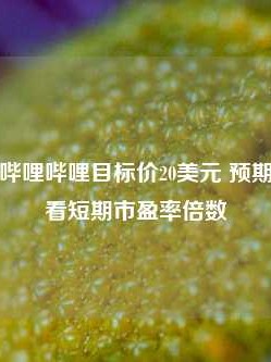 大摩：予哔哩哔哩目标价20美元 预期市场转向看短期市盈率倍数