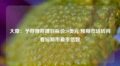 大摩：予哔哩哔哩目标价20美元 预期市场转向看短期市盈率倍数