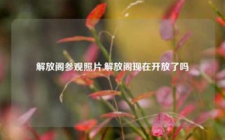 解放阁参观照片,解放阁现在开放了吗