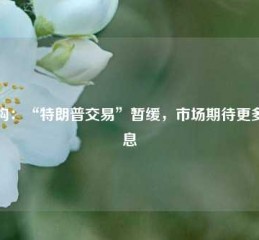 机构：“特朗普交易”暂缓，市场期待更多信息