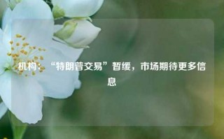 机构：“特朗普交易”暂缓，市场期待更多信息