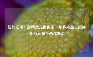 纽约汇市：彭博美元指数创一年多来最长周连涨 欧元跌至两年低点