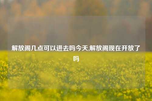 解放阁几点可以进去吗今天,解放阁现在开放了吗-第1张图片-解放阁