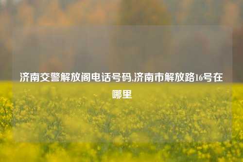 济南交警解放阁电话号码,济南市解放路16号在哪里-第1张图片-解放阁