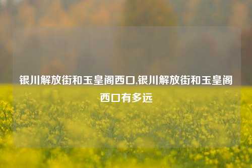 银川解放街和玉皇阁西口,银川解放街和玉皇阁西口有多远-第1张图片-解放阁