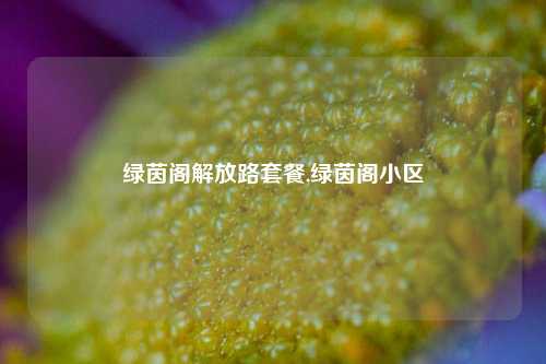 绿茵阁解放路套餐,绿茵阁小区-第1张图片-解放阁