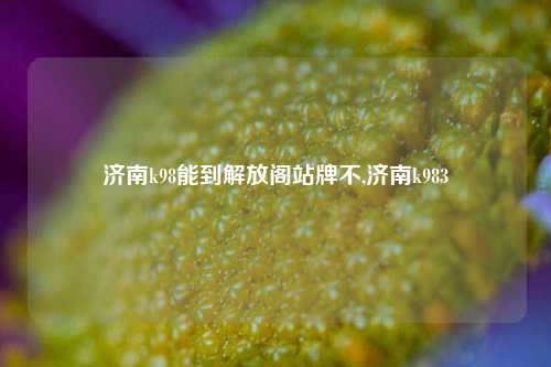 济南k98能到解放阁站牌不,济南k983-第1张图片-解放阁