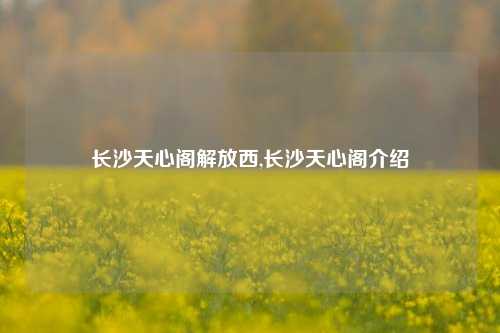 长沙天心阁解放西,长沙天心阁介绍-第1张图片-解放阁