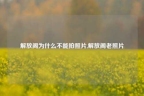 解放阁为什么不能拍照片,解放阁老照片-第1张图片-解放阁