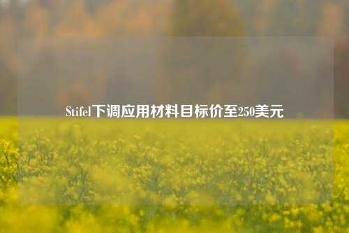 Stifel下调应用材料目标价至250美元-第1张图片-解放阁