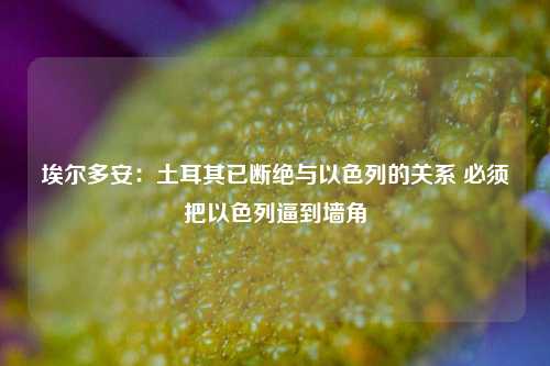 埃尔多安：土耳其已断绝与以色列的关系 必须把以色列逼到墙角-第1张图片-解放阁