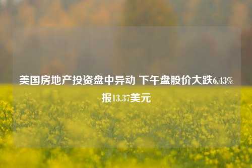 美国房地产投资盘中异动 下午盘股价大跌6.43%报13.37美元-第1张图片-解放阁