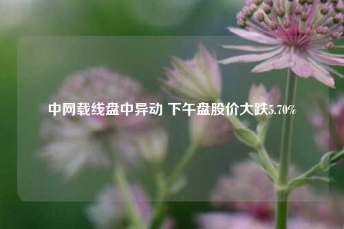 中网载线盘中异动 下午盘股价大跌5.70%-第1张图片-解放阁