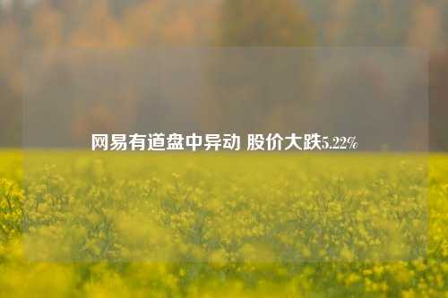 网易有道盘中异动 股价大跌5.22%-第1张图片-解放阁