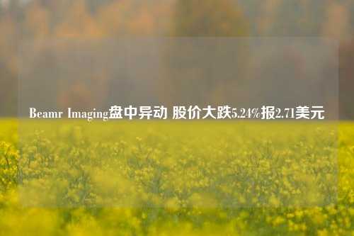 Beamr Imaging盘中异动 股价大跌5.24%报2.71美元-第1张图片-解放阁