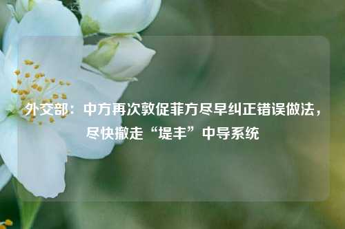 外交部：中方再次敦促菲方尽早纠正错误做法，尽快撤走“堤丰”中导系统-第1张图片-解放阁