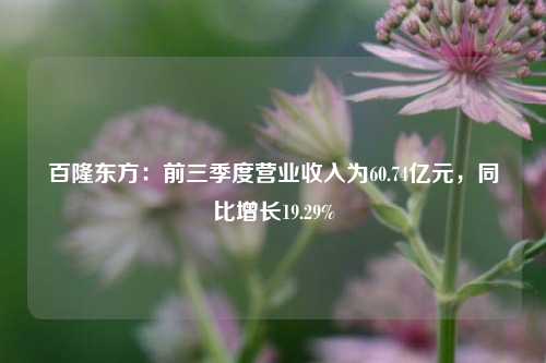 百隆东方：前三季度营业收入为60.74亿元，同比增长19.29%-第1张图片-解放阁