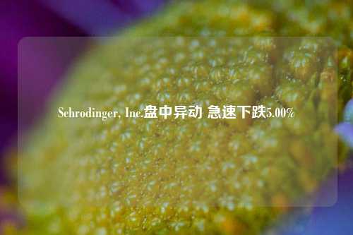 Schrodinger, Inc.盘中异动 急速下跌5.00%-第1张图片-解放阁