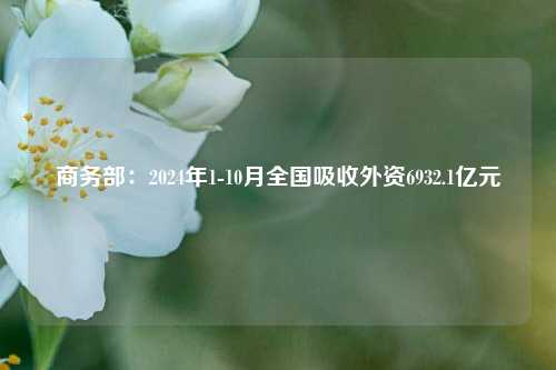 商务部：2024年1-10月全国吸收外资6932.1亿元-第1张图片-解放阁