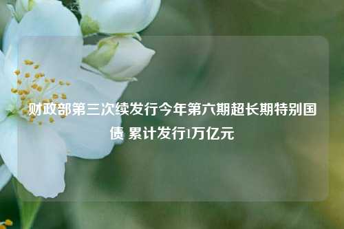 财政部第三次续发行今年第六期超长期特别国债 累计发行1万亿元-第1张图片-解放阁