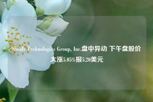 Shoals Technologies Group, Inc.盘中异动 下午盘股价大涨5.05%报5.20美元-第1张图片-解放阁