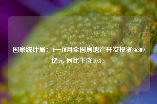 国家统计局：1—10月全国房地产开发投资86309亿元 同比下降10.3%-第1张图片-解放阁