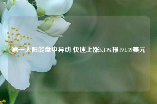 第一太阳能盘中异动 快速上涨5.14%报191.49美元-第1张图片-解放阁