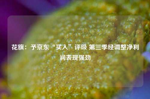 花旗：予京东“买入”评级 第三季经调整净利润表现强劲-第1张图片-解放阁