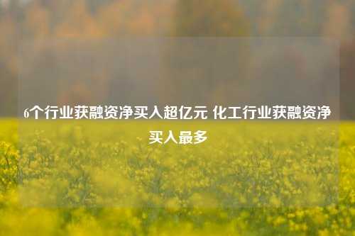 6个行业获融资净买入超亿元 化工行业获融资净买入最多-第1张图片-解放阁