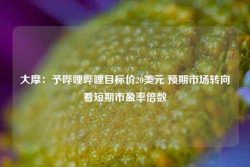 大摩：予哔哩哔哩目标价20美元 预期市场转向看短期市盈率倍数-第1张图片-解放阁