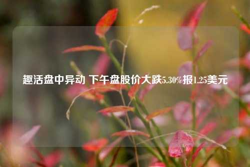 趣活盘中异动 下午盘股价大跌5.30%报1.25美元-第1张图片-解放阁