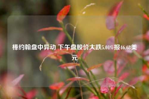 棒约翰盘中异动 下午盘股价大跌5.01%报46.68美元-第1张图片-解放阁