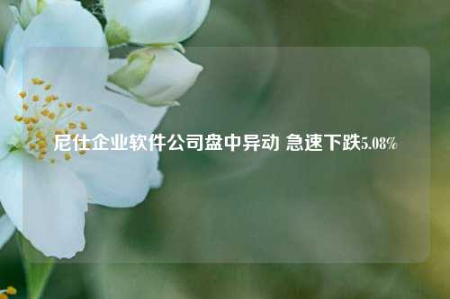 尼仕企业软件公司盘中异动 急速下跌5.08%-第1张图片-解放阁