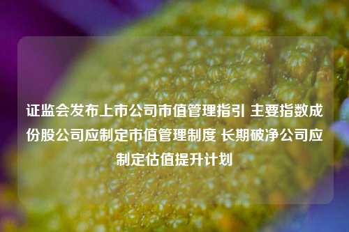 证监会发布上市公司市值管理指引 主要指数成份股公司应制定市值管理制度 长期破净公司应制定估值提升计划-第1张图片-解放阁