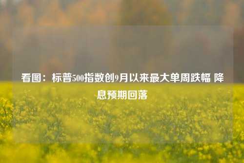 看图：标普500指数创9月以来最大单周跌幅 降息预期回落-第1张图片-解放阁