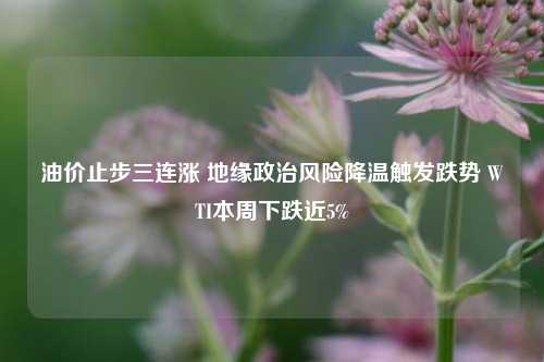 油价止步三连涨 地缘政治风险降温触发跌势 WTI本周下跌近5%-第1张图片-解放阁